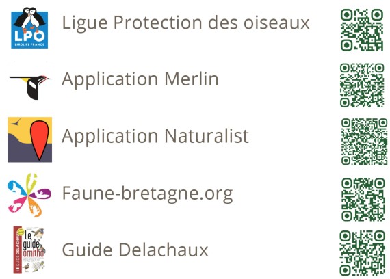 Outils d'aide au photographe animalier et ornithologue