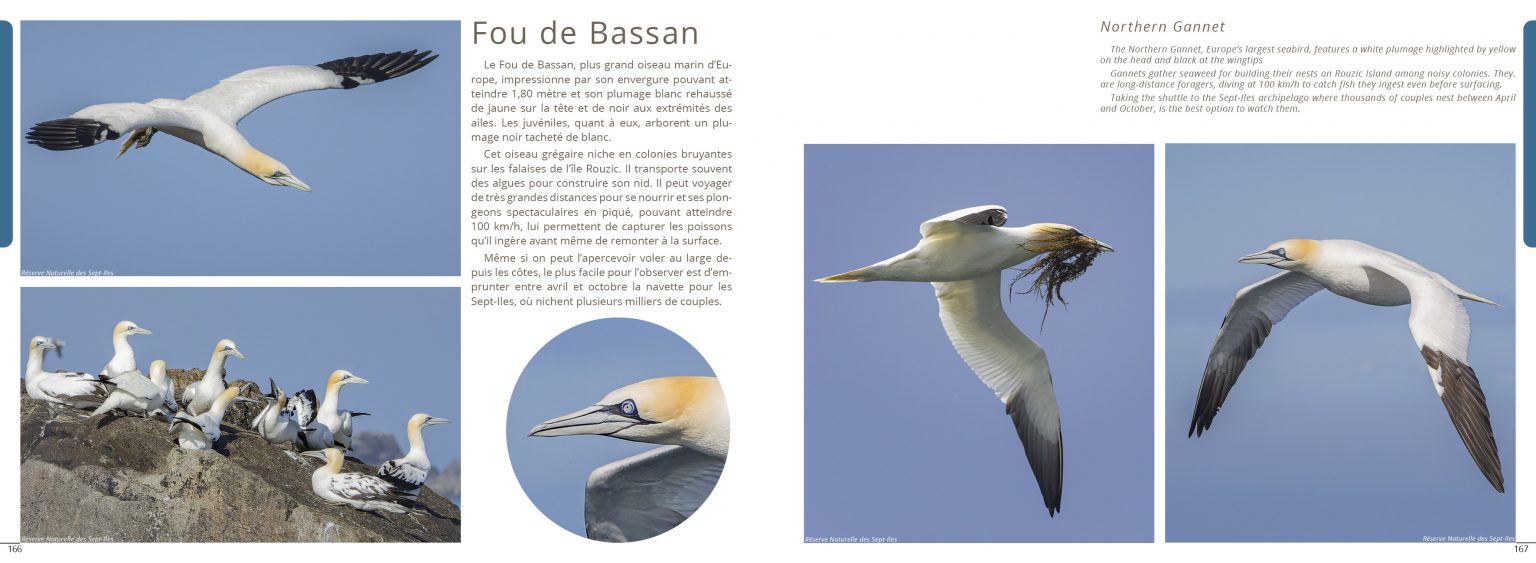 Planche de photographies du livre Exploration Côte de Granit Rose