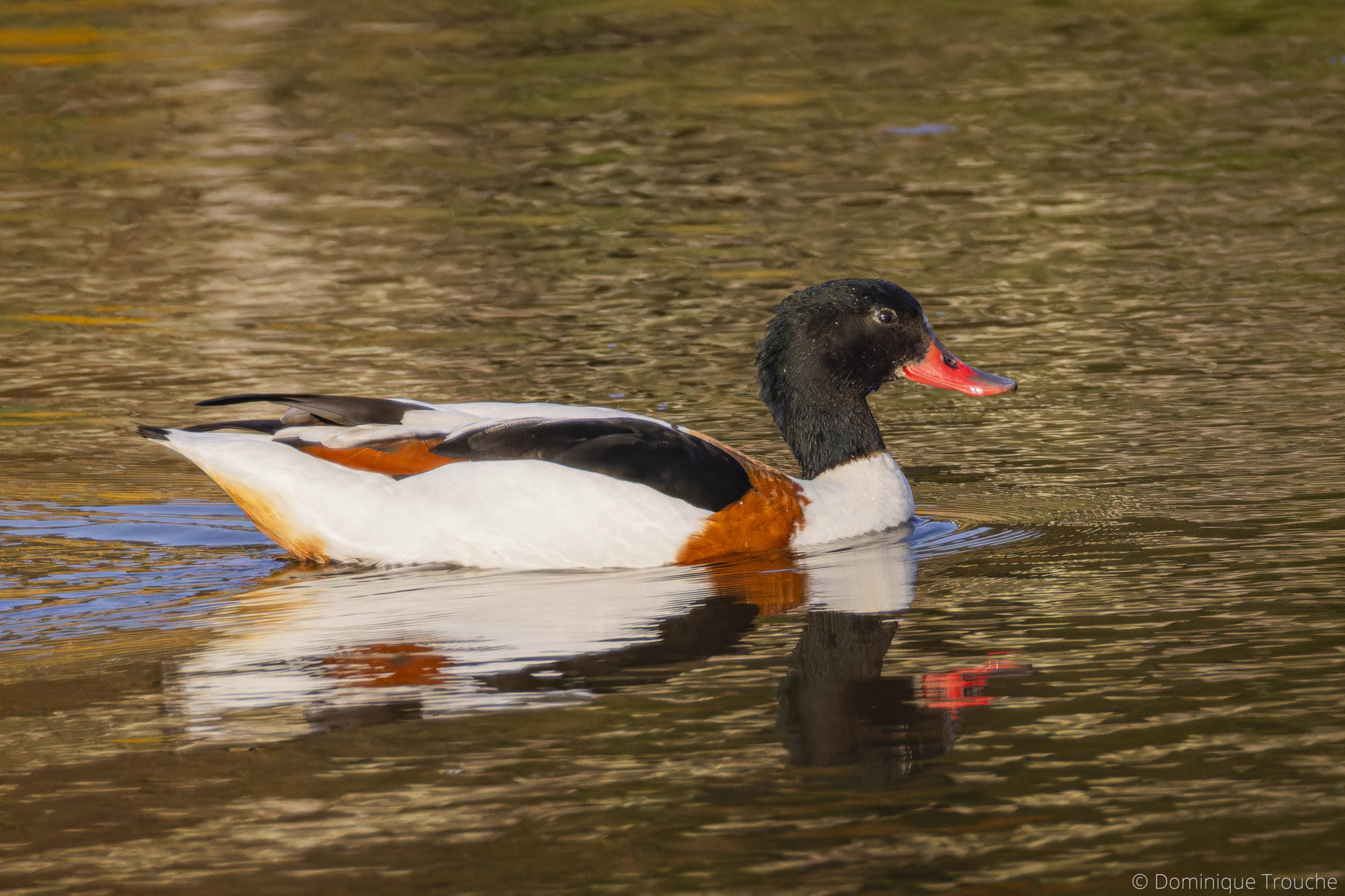 WP_Liv_Exp_TB_4326