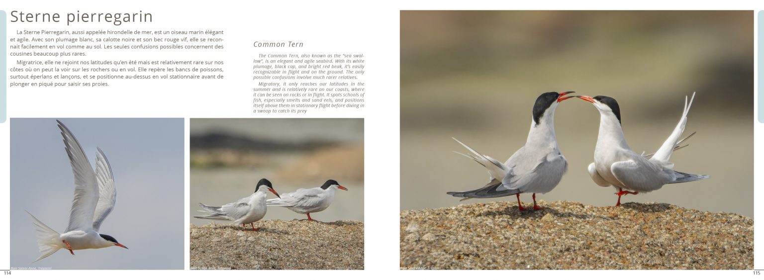 Planche de photographies du livre Exploration Côte de Granit Rose