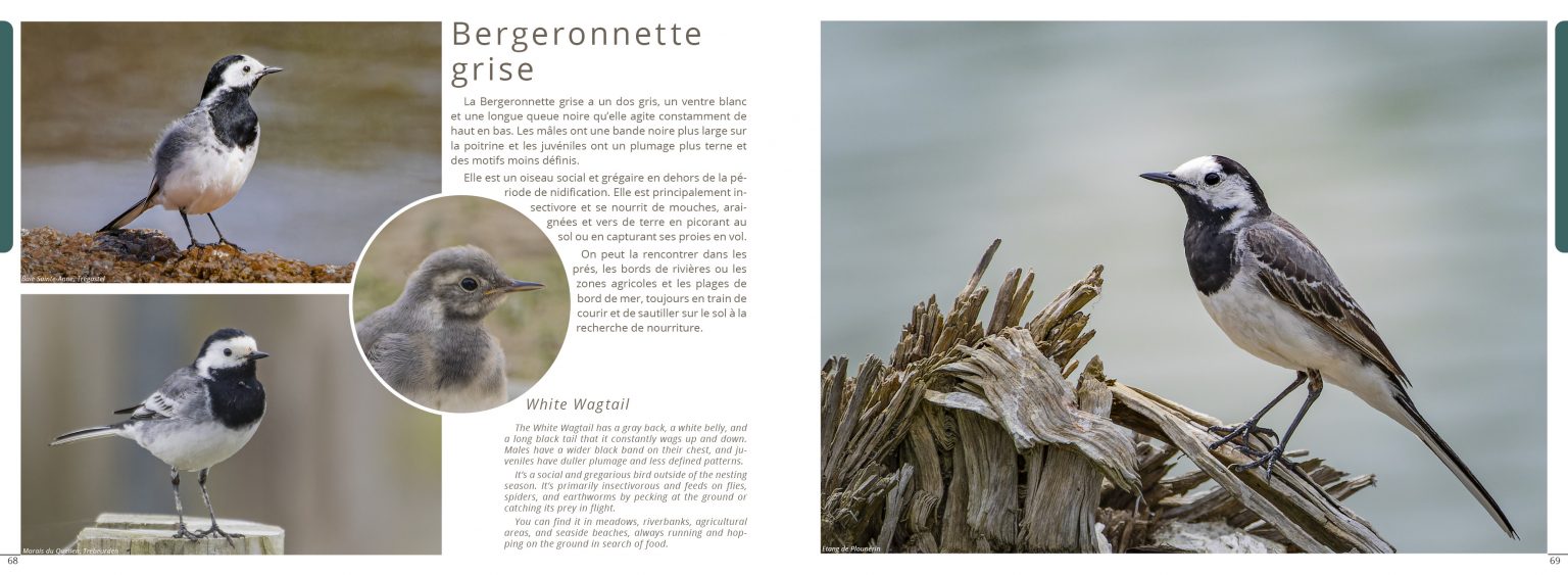 Planche de photographies du livre Exploration Côte de Granit Rose