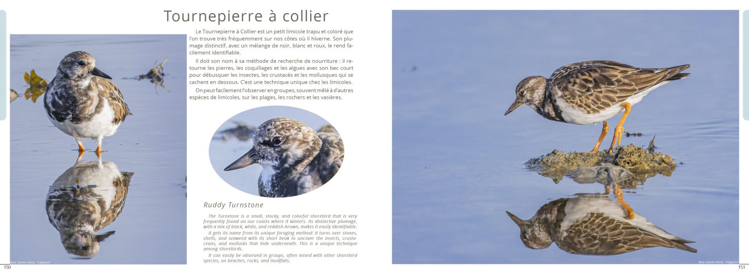 Planche de photographies du livre Exploration Côte de Granit Rose