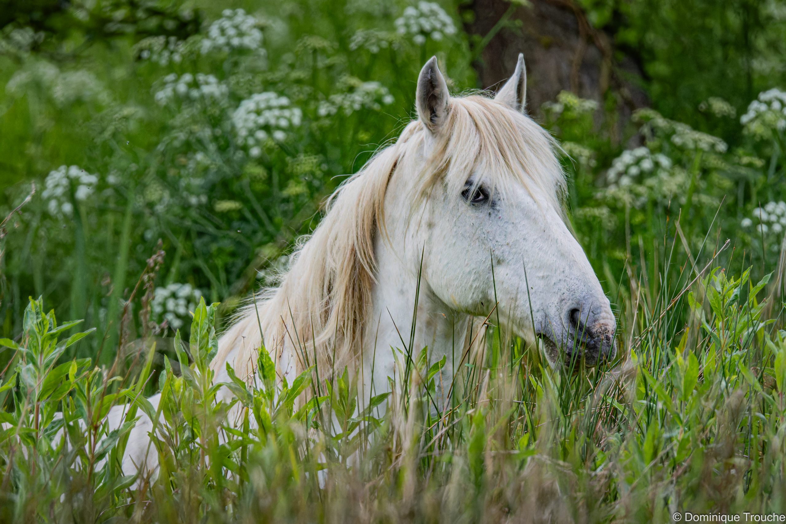 Lire la suite à propos de l’article Mon exposition ?