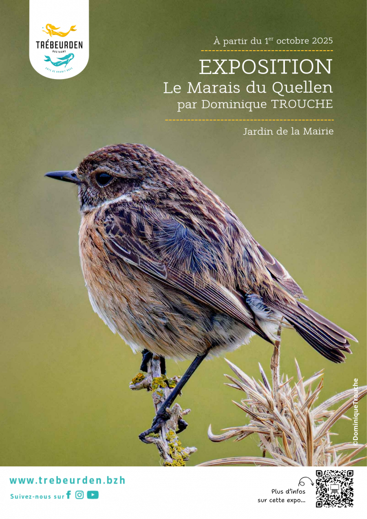 Affiche exposition Quellen