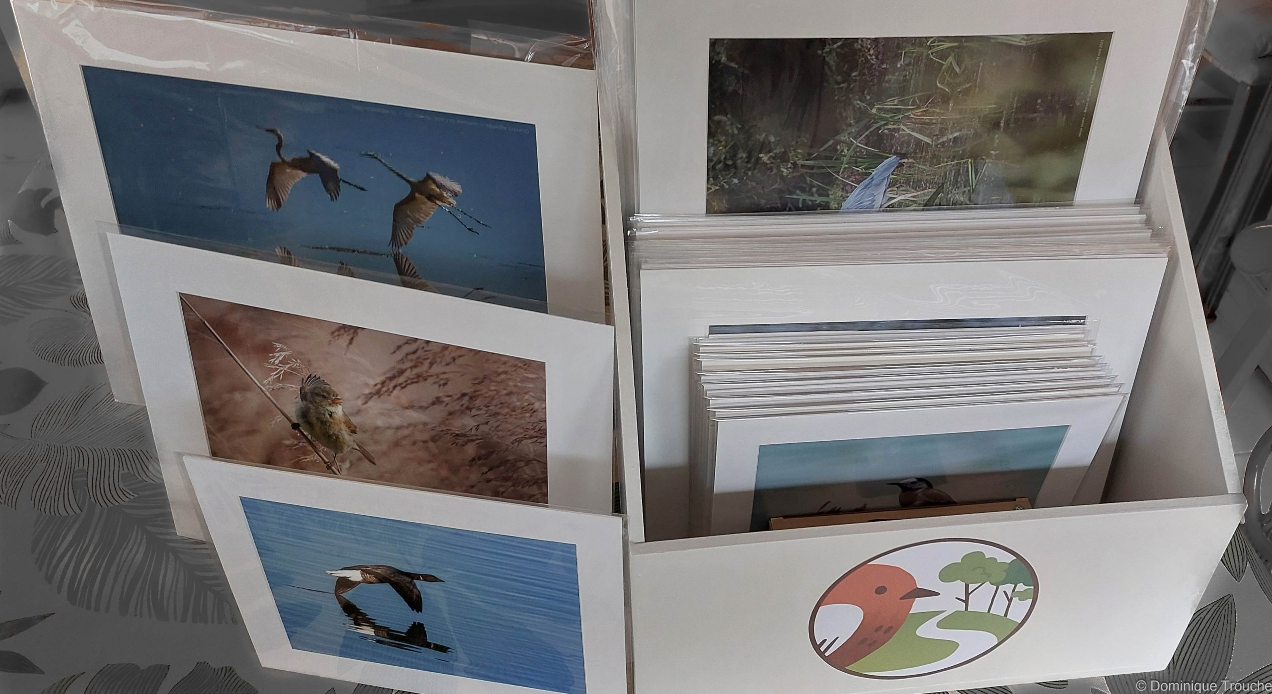 Lire la suite à propos de l’article Et maintenant des tirages photos…