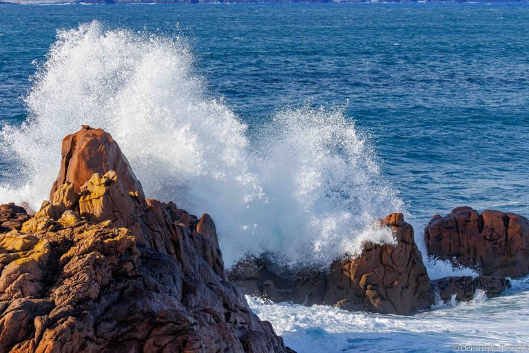 Vague sur les rochers