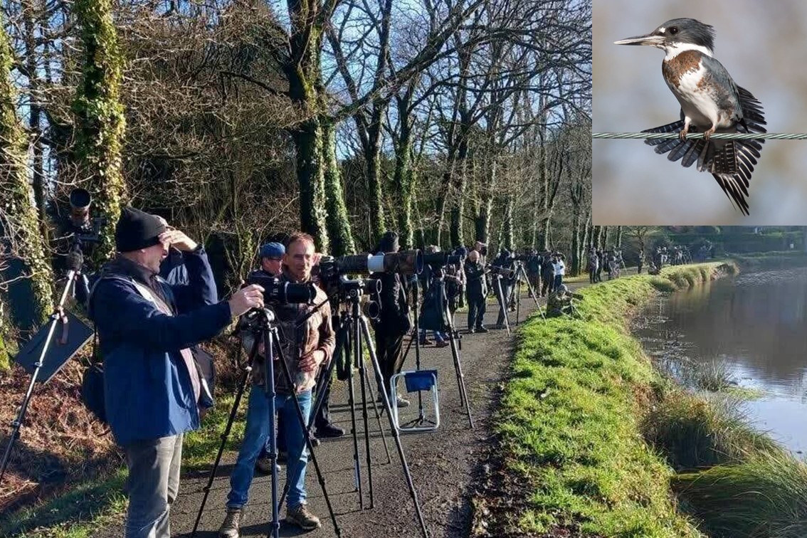 Lire la suite à propos de l’article La ruée vers Glomel…Ce que je déteste!