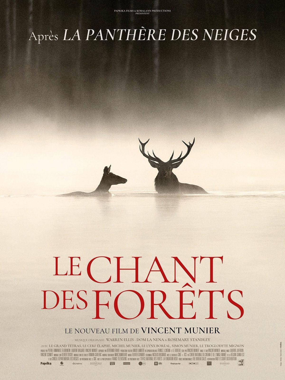 Lire la suite à propos de l’article Coup de Coeur pour « Le Chant des Forêts »