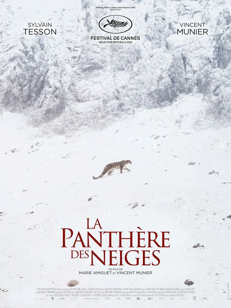 Panthère des Neiges