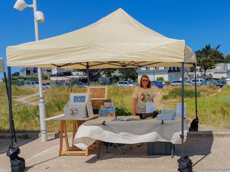 Marché des créateurs de Trébeurden
