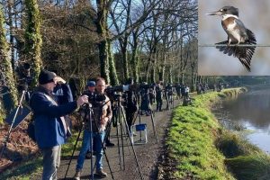 Rassemblement de photographes à Glomel pour le Martin-pêcheur d'Amérique